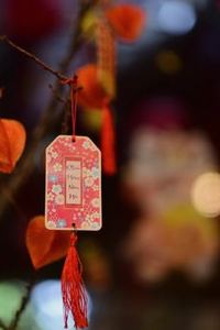  Thiên đường giải trí 